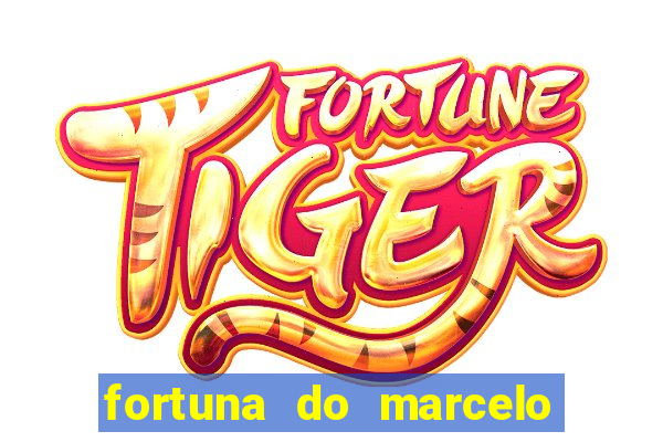 fortuna do marcelo do fluminense